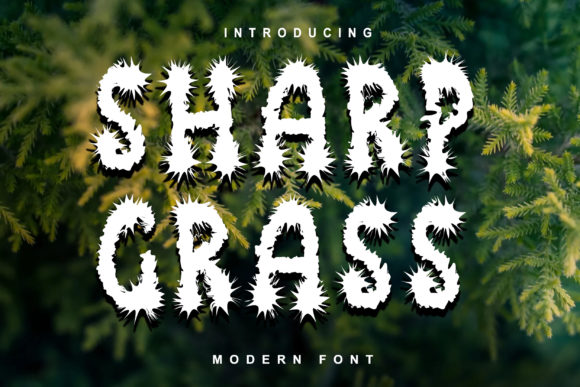 Elevating Visual Communication with the Sharp Grass Display Typeface